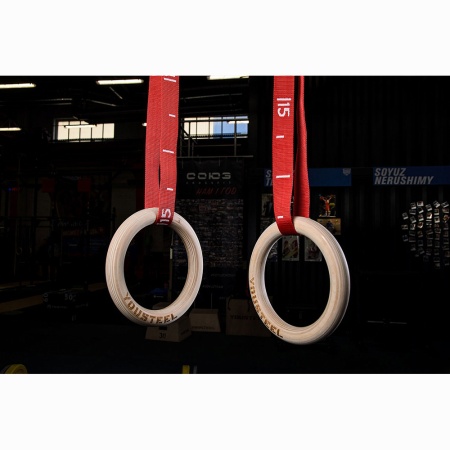 Купить Кольца гимнастические 32 мм красные стропы в Алзамае 